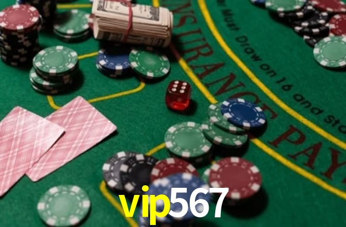 vip567 App Interface