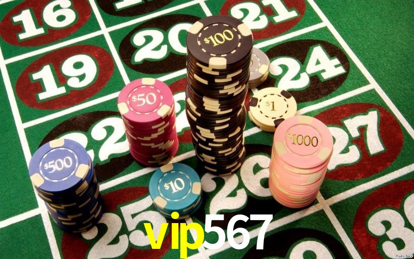 Experiência VIP vip567